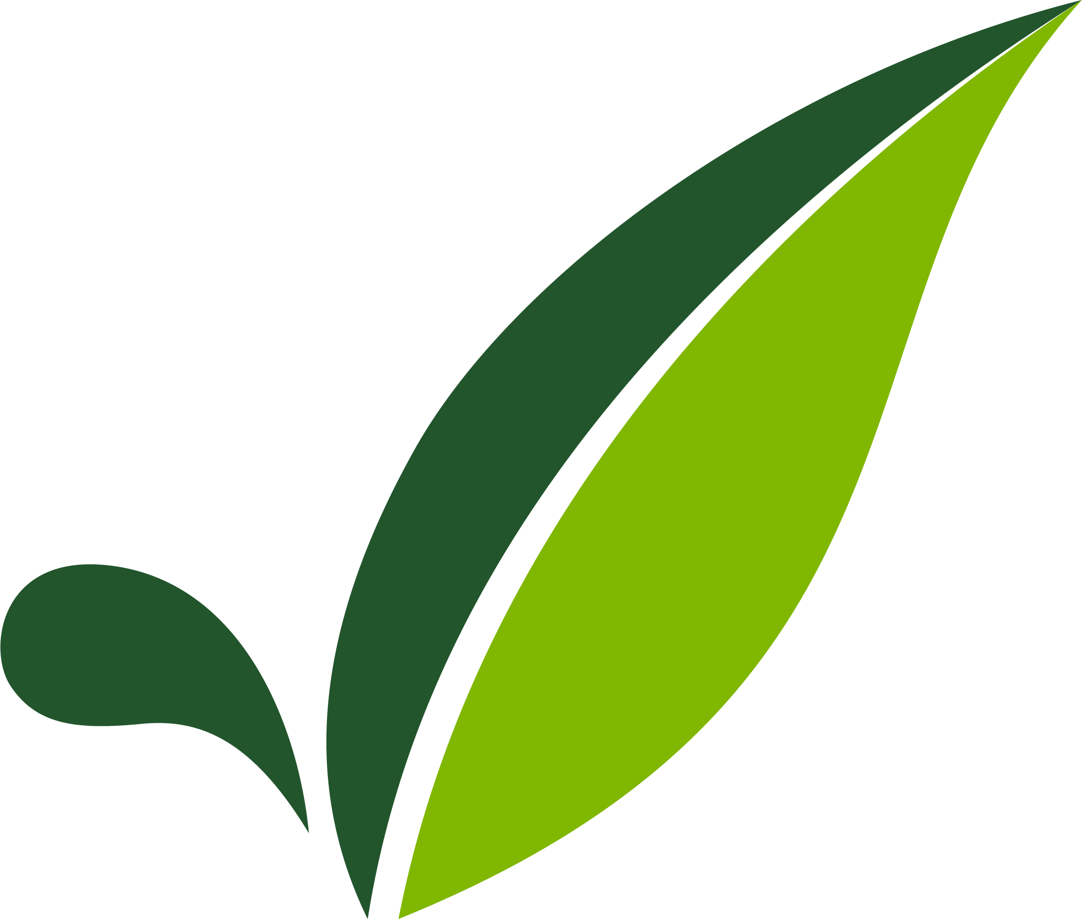 SCS logo